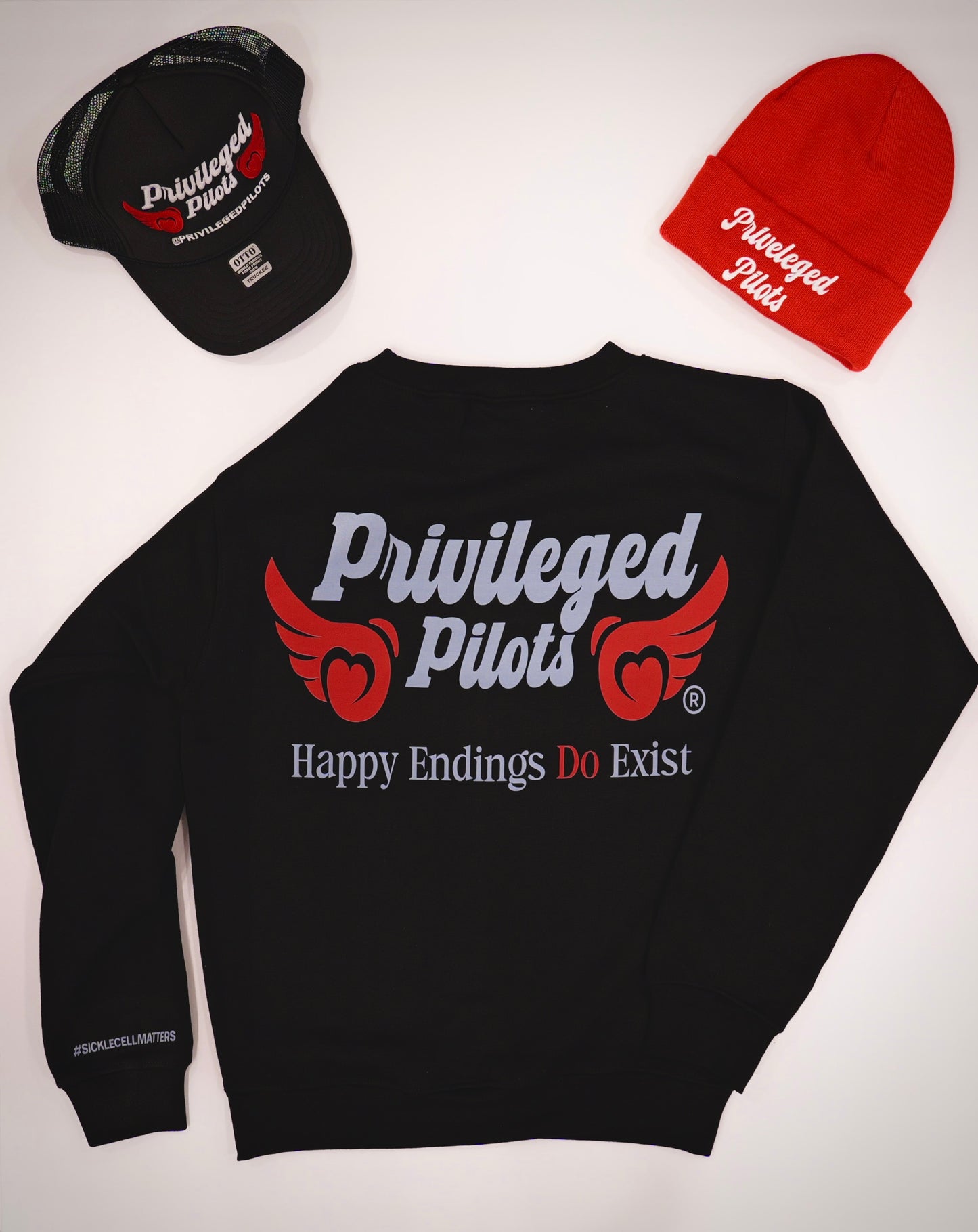 Relaxed Fit Sweatshirt (Simple Wing +PP)